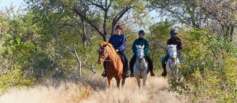 Horse Riding